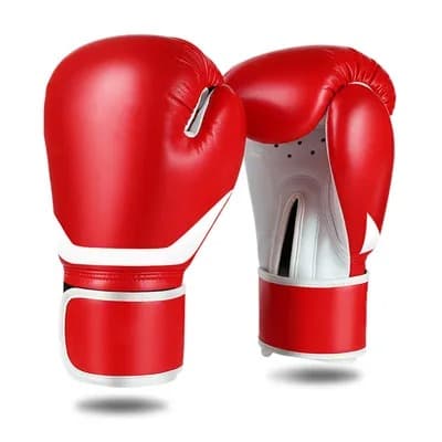 Boxing Gloves 17